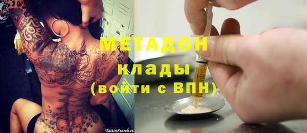 стаф Корсаков