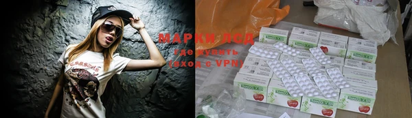 гидра Коряжма