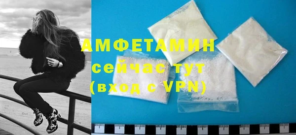 стаф Корсаков