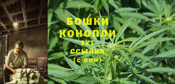 стаф Корсаков