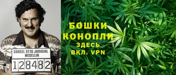 стаф Корсаков