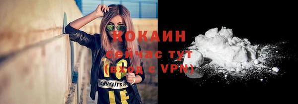 гидра Коряжма