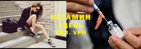 стаф Корсаков