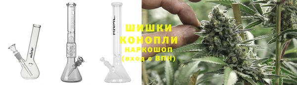 сатива Костерёво