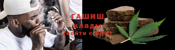 гидра Коряжма