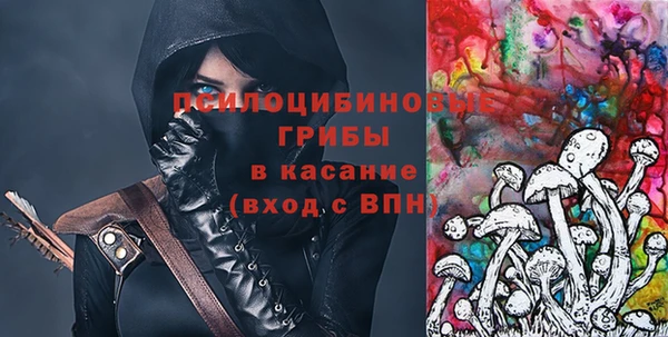 сатива Костерёво