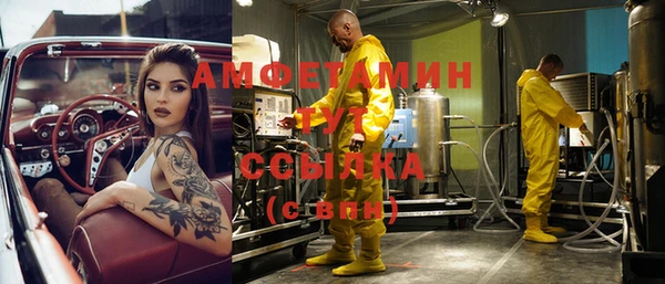гидра Коряжма
