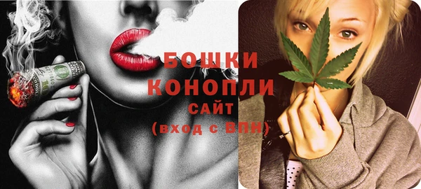 стаф Корсаков