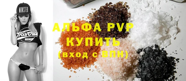 стаф Корсаков