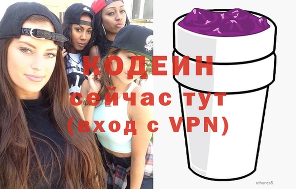 стаф Корсаков