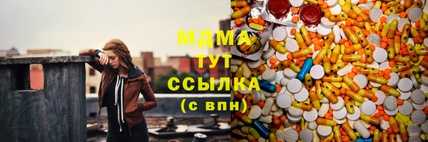 стаф Корсаков