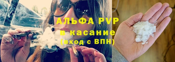 сатива Костерёво