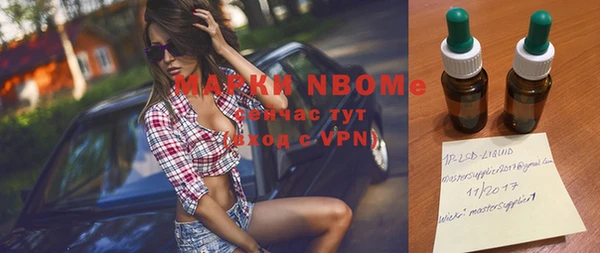 сатива Костерёво